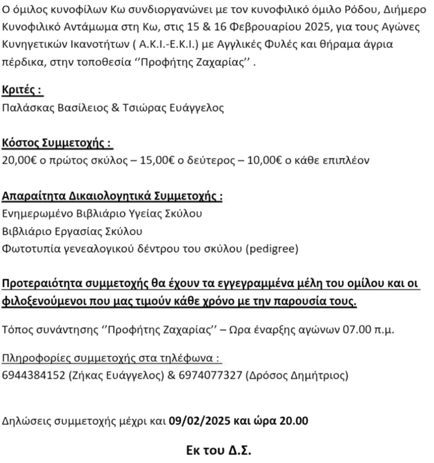 Στιγμιότυπο οθόνης 2025-01-31 070802.png