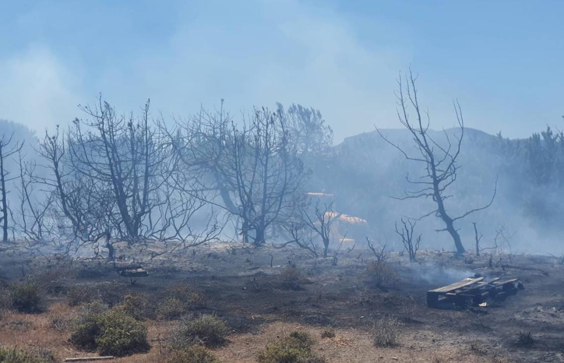 Φωτιά ξέσπασε στην περιοχή Βολκάνια, στην Κέφαλο - ΦΩΤΟ