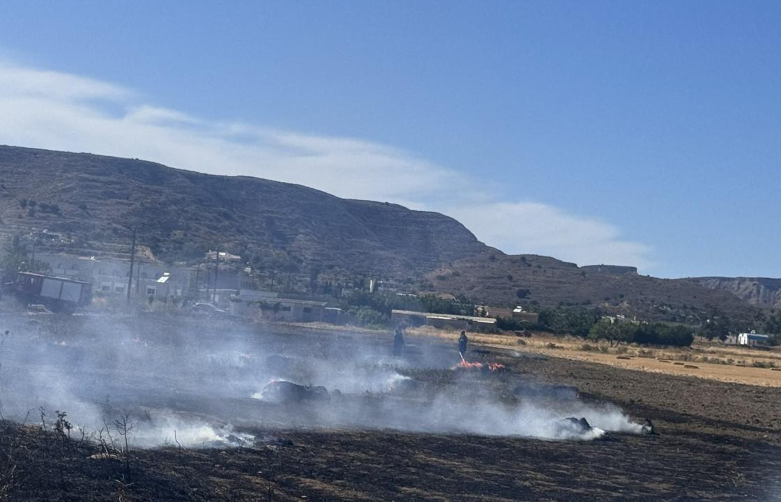 Πυρκαγιά το μεσημέρι της Κυριακής στην Καρδάμαινα