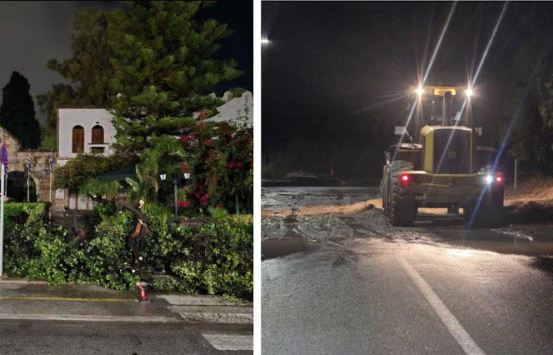 Ξεριζώθηκε δέντρο στο Ηρώο - Παρέμβαση μηχανήματος έργου για την απομάκρυνση λάσπης από τον δρόμο στον Άγιο Φωκά. ΦΩΤΟ