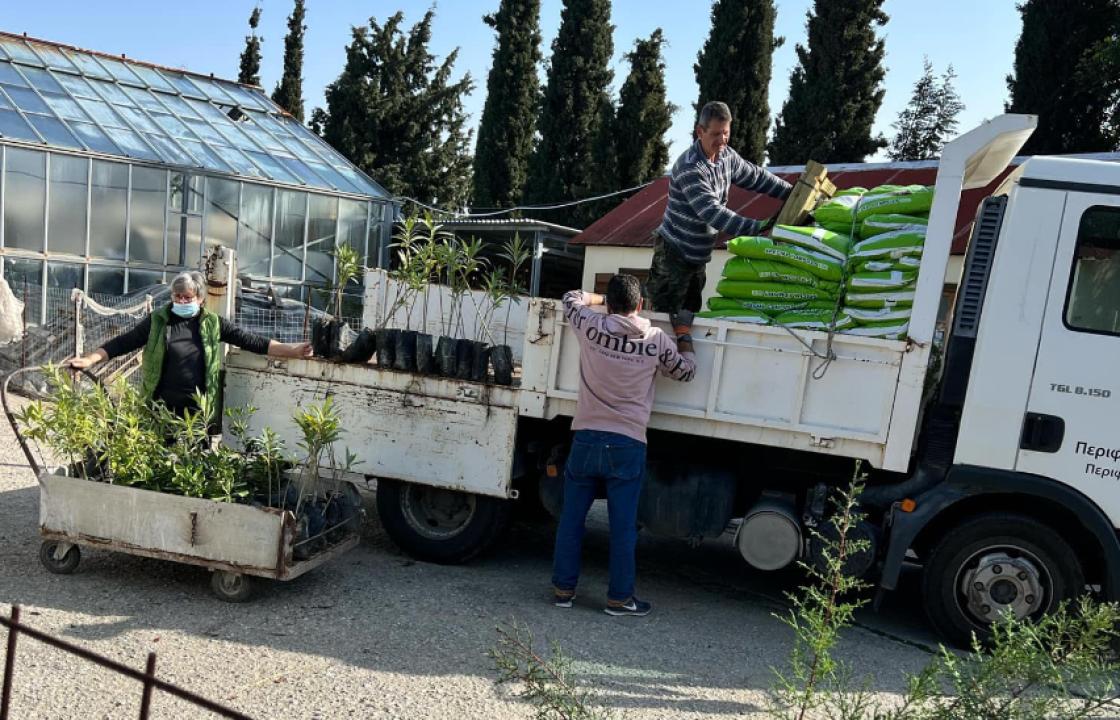 Περισσότερα από 3000 χιλιάδες φυτά διέθεσε σε φορείς των νησιών το Περιφερειακό Φυτώριο Νοτίου Αιγαίου